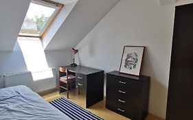 Central Apartment City
